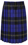 Trenode Tartan Pleat Skirt